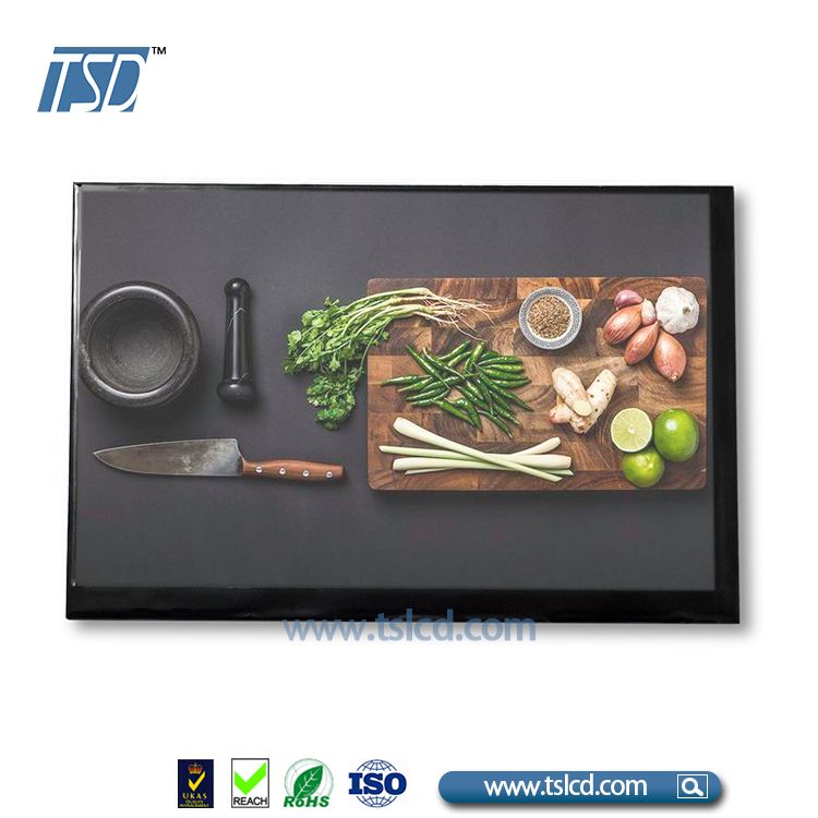 TSD TSLCD 10.1 inch tft lcd module