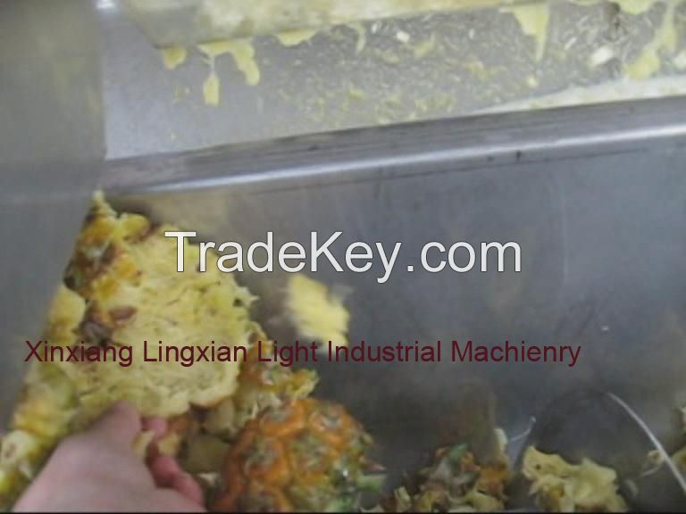 High Quality Pineapple Juice Processing Equipment, Pineapple peeler and juicer machine