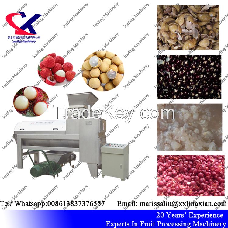 High Quality Lychee Peeling crushing Machine 2-3t/h Lycee Juice processing Equipment