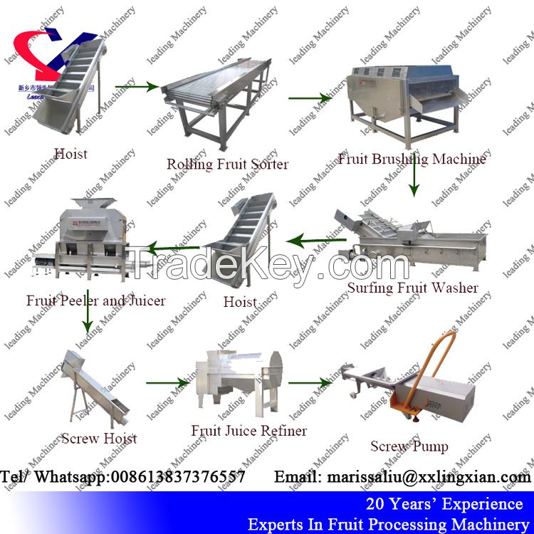 Industrial Fruit Peeling and Juicing Machine, citrus lemon pineapple processing plant used