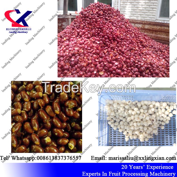 Advanced technology lychee longan processing equipment, Lychee peeling and pitting machine 2-3t/h lychee peeler and pitter 