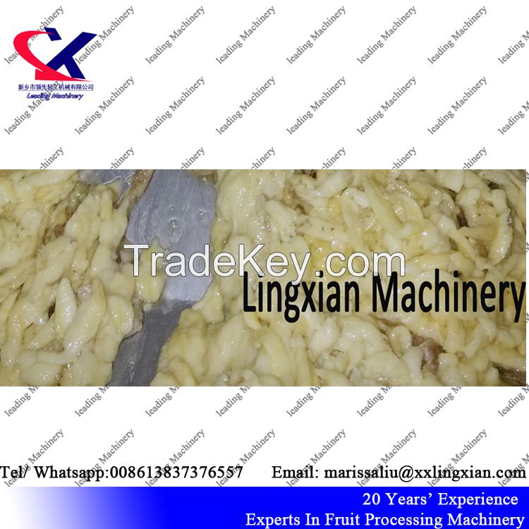 Tropical Banana Pulp Puree Processing 2-3T/H Banana Juice Making Machine banana peeling and juicing machine