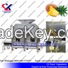 Industrial Passion fruit Juice Making Machine 2-3t/h passion fruit pulp extractor