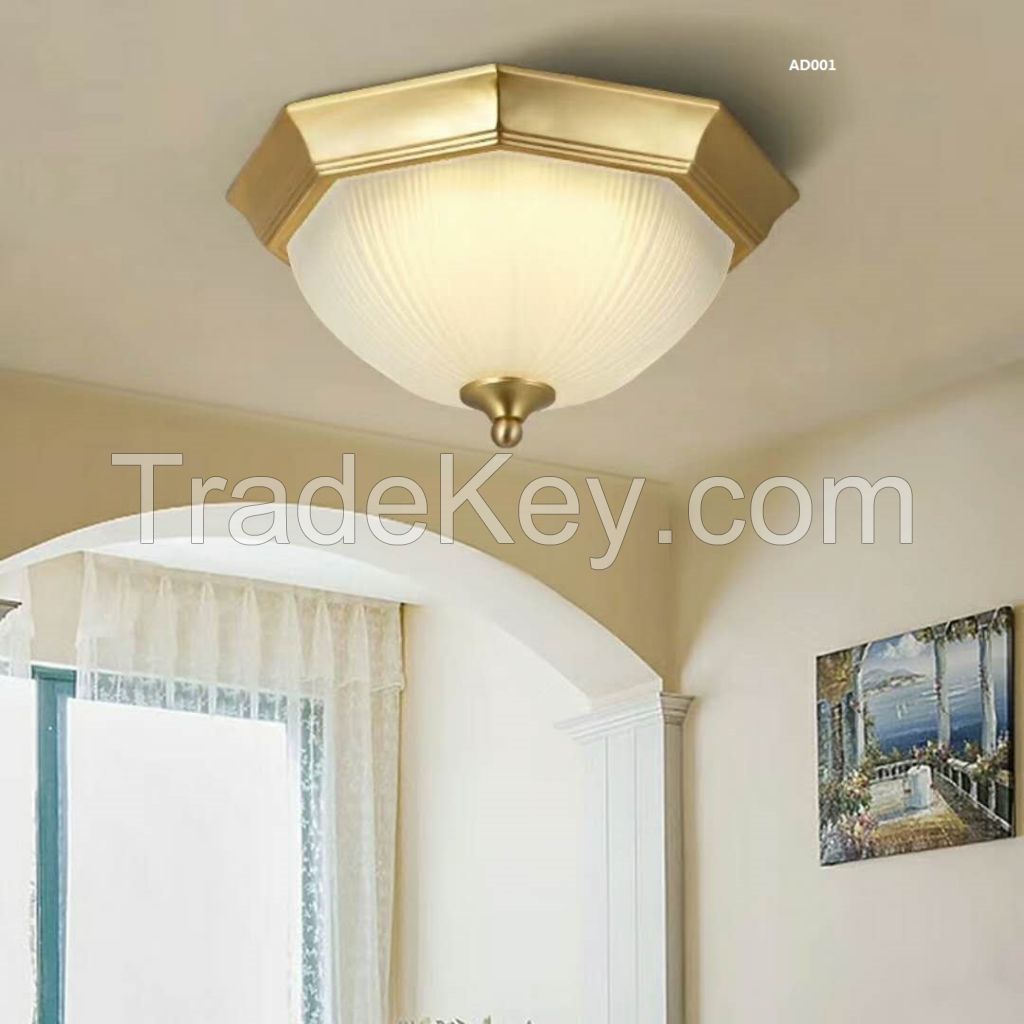 Ceiling  Lignt/led  Light/ Home  Light 