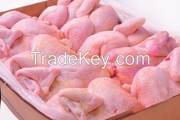 high quality Halal whole frozen chicken and part for sale