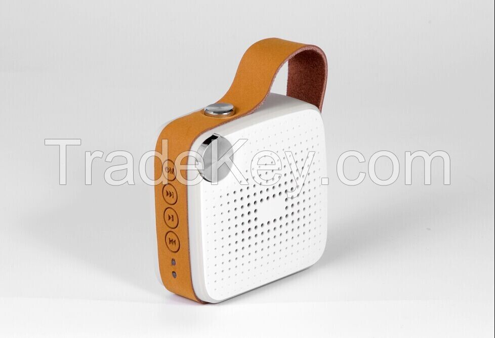 Portable bluetooth speaker 