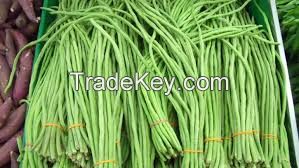 Cow pea beans