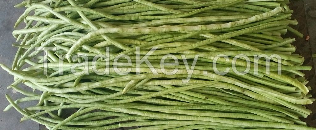 Cow pea beans