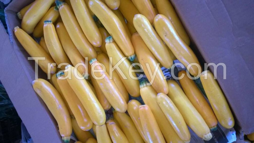 Yellow  Zucchini