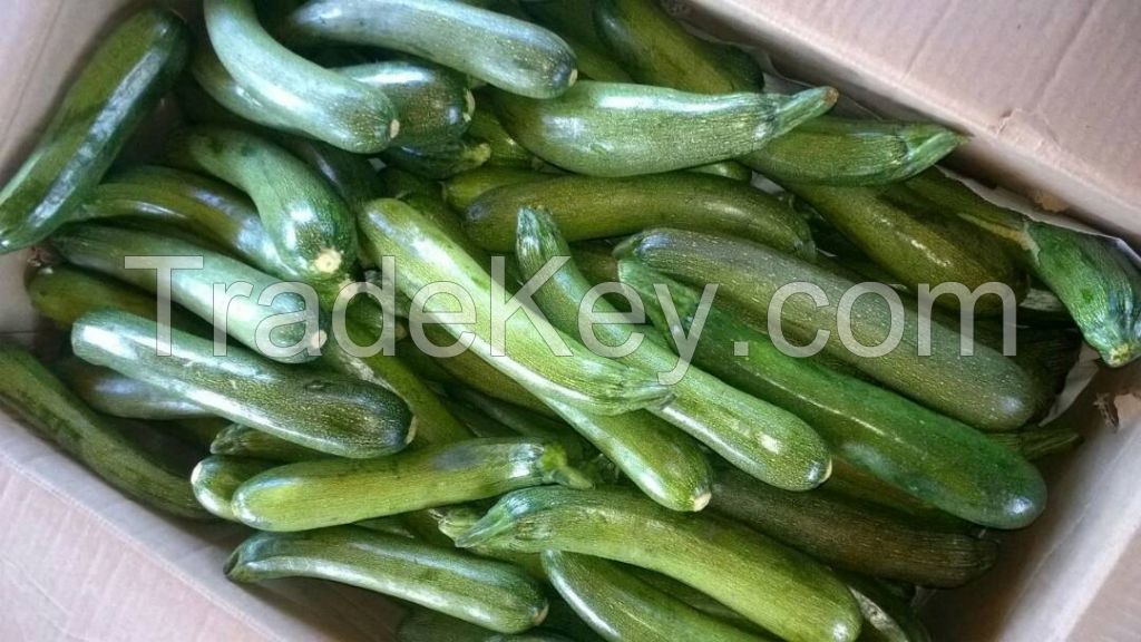 Green Zucchini