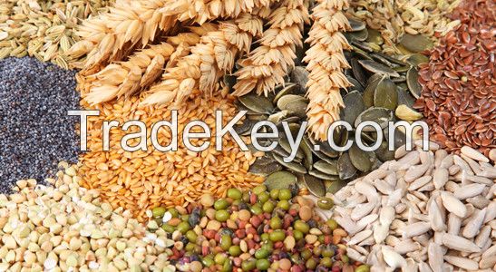 Grains in general