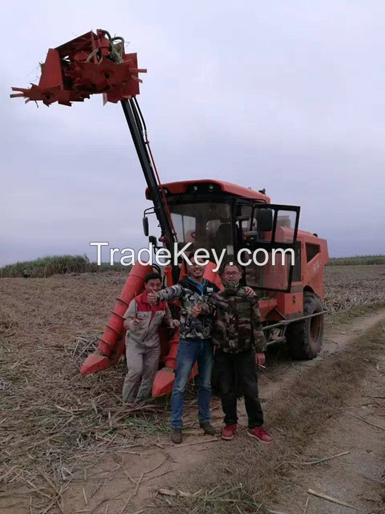 Combine sugar cane harvester for whole stalk sugarcane harvesting 