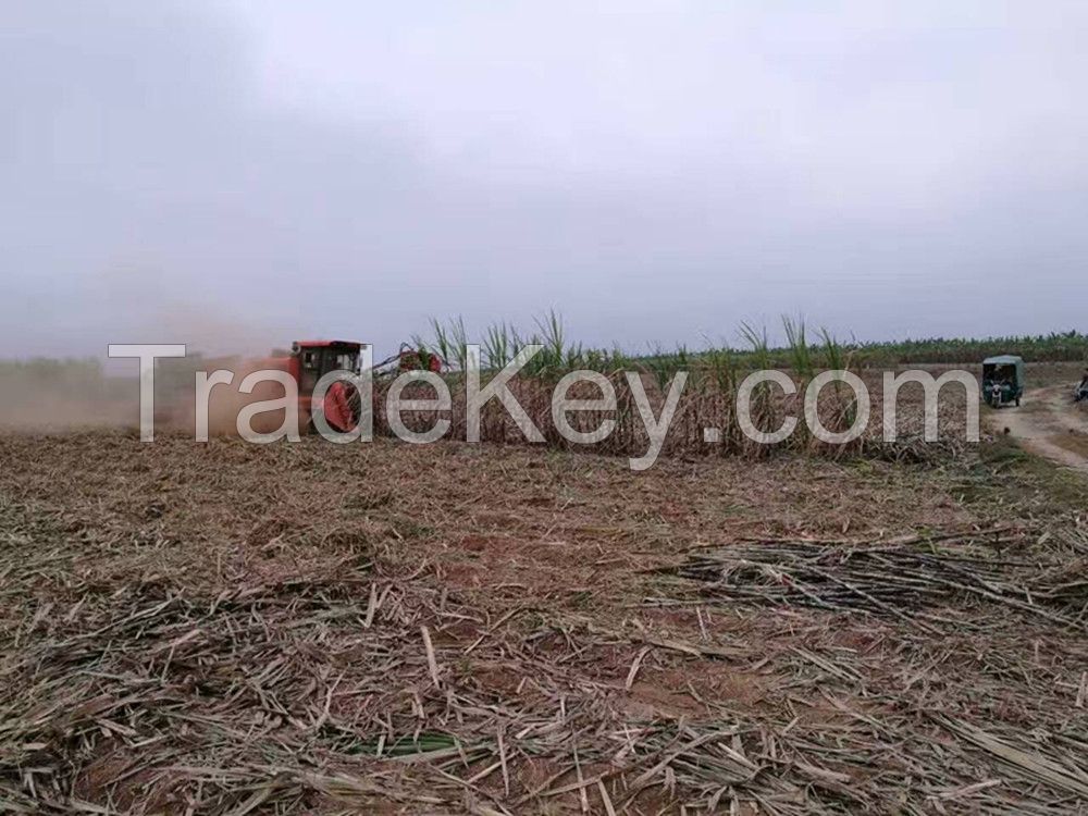 China combine sugar cane harvester for India sugarcane filed harvest