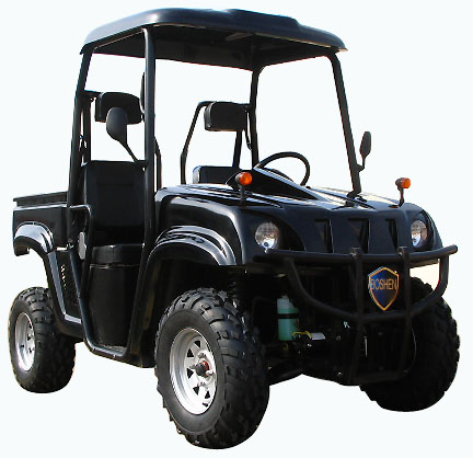 300cc Utility Vehicle