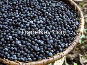 Acai Pulp in Packed 400g package