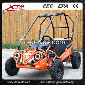 Mini Off Road Dune Buggy For Kids 5.5HP