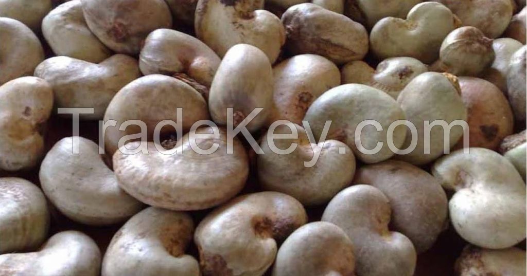 cashew nuts