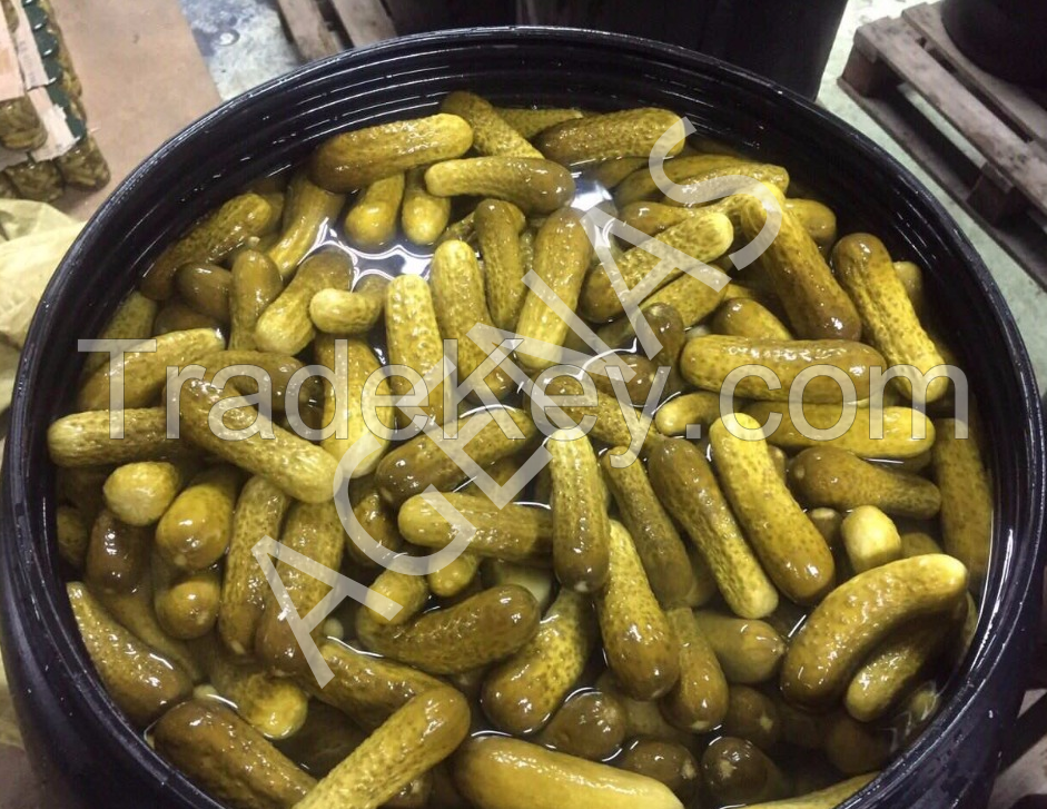 Pickled gherkins