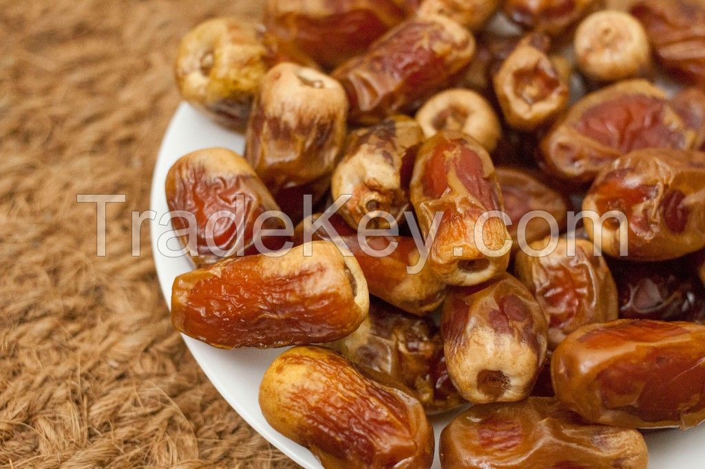 Saudi/Madinah Dates