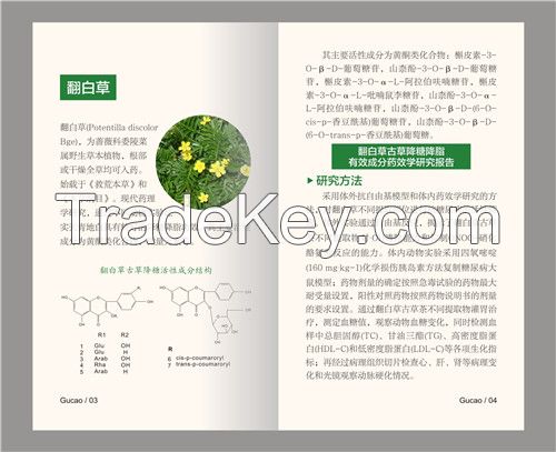 Top Grade High Quality Potentilla discolor Tea