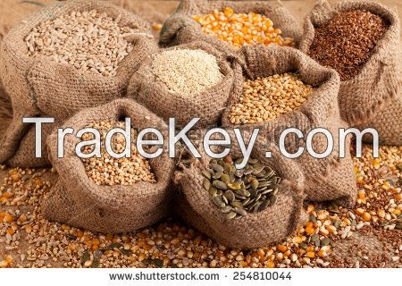 new corps natural fresh brown sesame seeds 