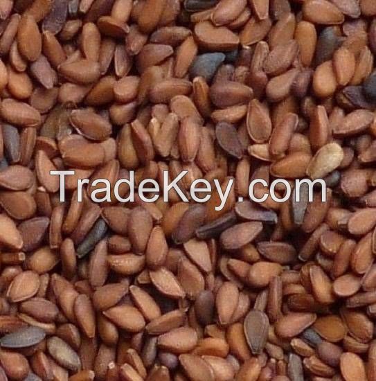 Bangladeshi Black and Brown fresh natural sesame seeds