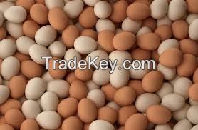 Best Quality Fresh Brown Table Chicken Eggs