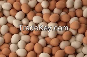 WHITE AND BROWN FRESH TABLE EGGS, HATCHING EGGS Price