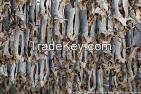 Best Quality Dry Stock Fish / Dry Stock Fish Head / dried salted cod for sale.