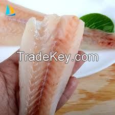 Wholesale New Frozen IQF Alaska Pollock Fillet With Good Price