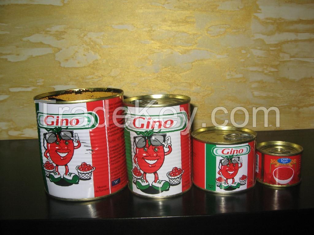 Supply different size canned peeled tomato 400g