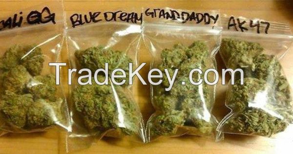 Medical Marijuana Wholesale and Retail Direct Grower