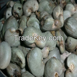 Raw Cashew Nuts