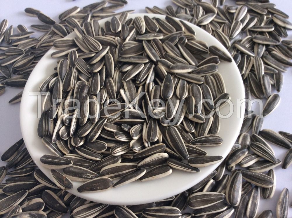 Sunflower seeds Grade I for sale NOW AVAILABLE 