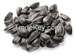 Cheap Sunflower seeds Grade I for sale NOW AVAILABLE