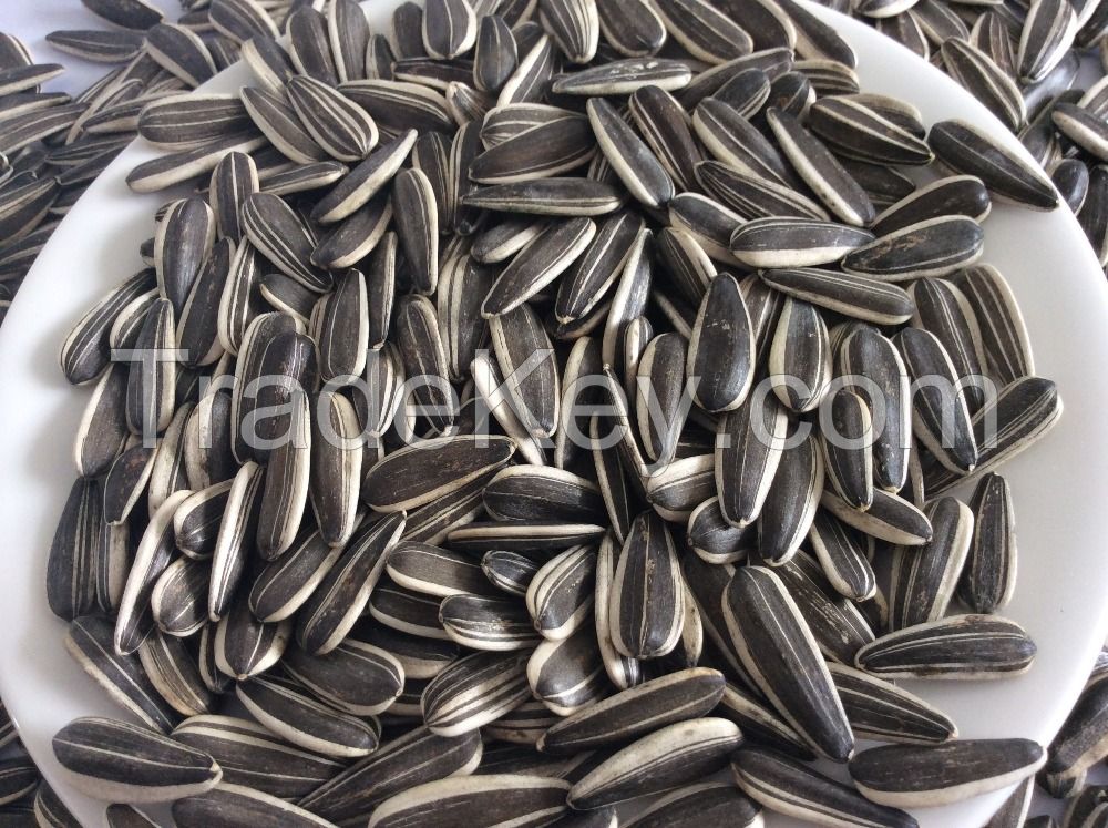 Cheap Sunflower seeds Grade I for sale NOW AVAILABLE 