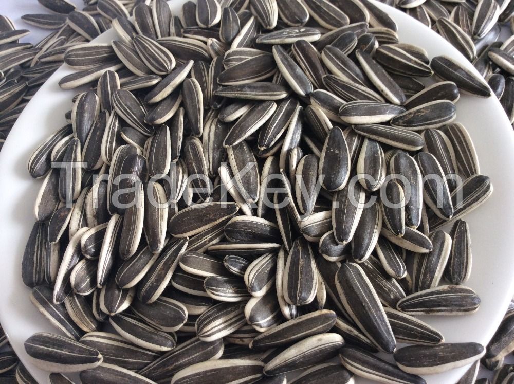 Sunflower seeds Grade I for sale NOW AVAILABLE 