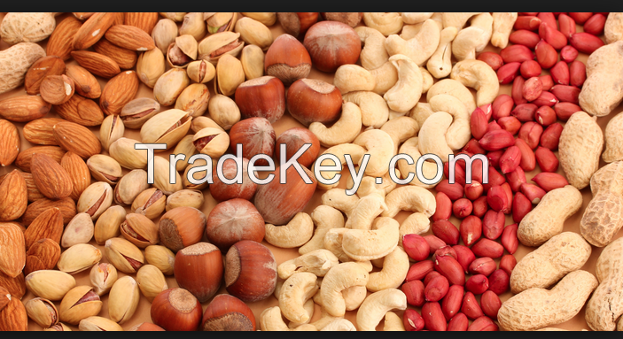 Almonds , Cashew, Macadamia , walnuts, hazlenuts  and more for exports.