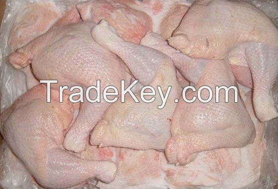 Frozen Chicken Manufacturers | Frozen Chicken Suppliers