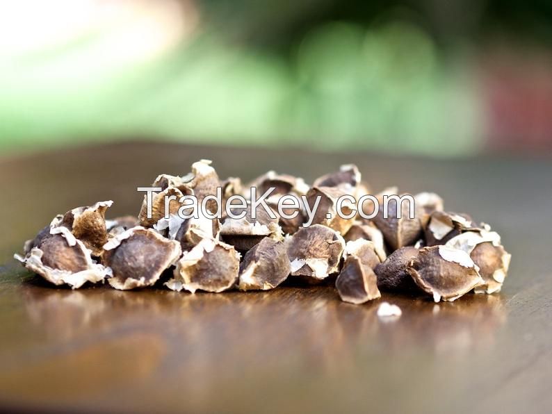 Moringa Seeds