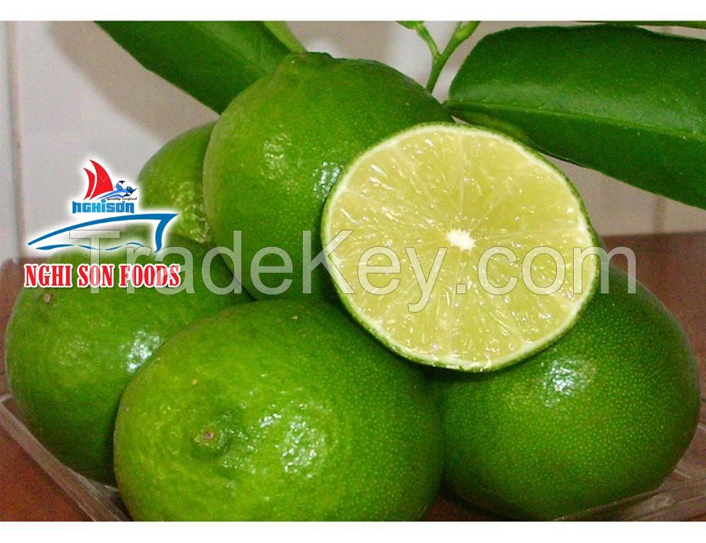 FRESH LIME FROM VIETNAM