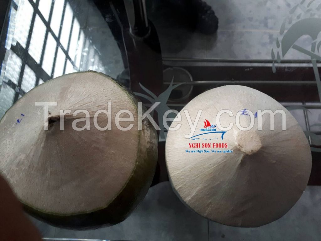 FRESH YOUNG COCONUT