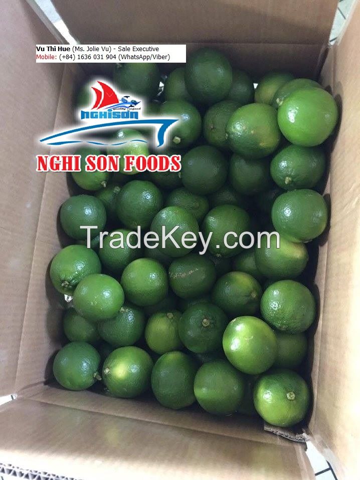 FRESH SEEDLESS LIME WHATSAPP +84986365621