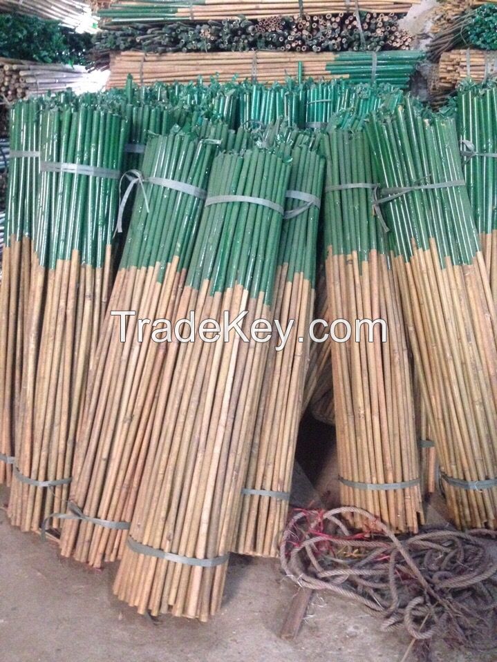 Bamboo Poles