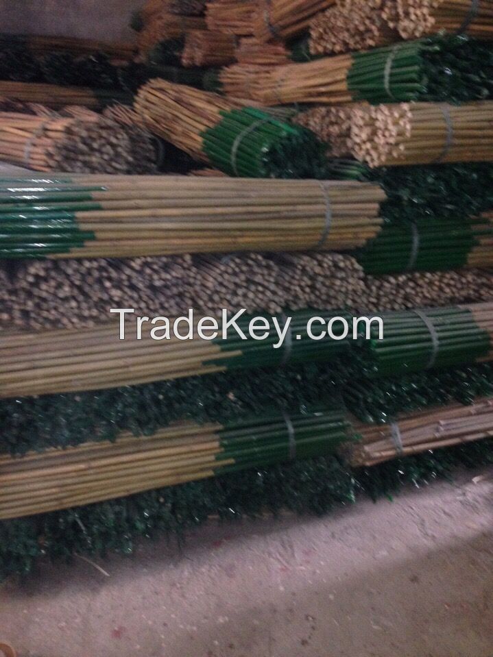 Bamboo Poles