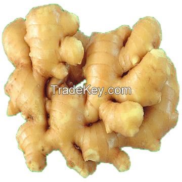 Ginger fruit