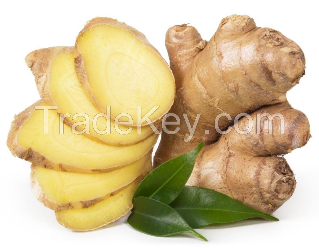 Ginger fruit