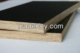 Plywood