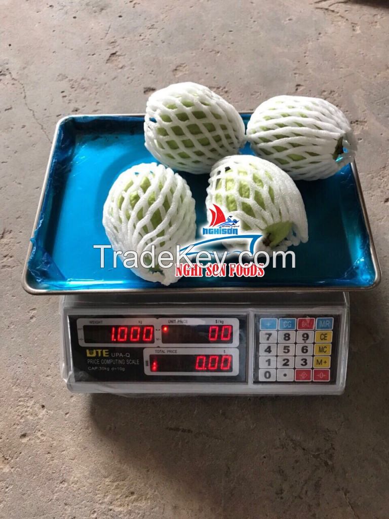 FRESH GUAVA HIGHEST QUALITY LOW PRICE