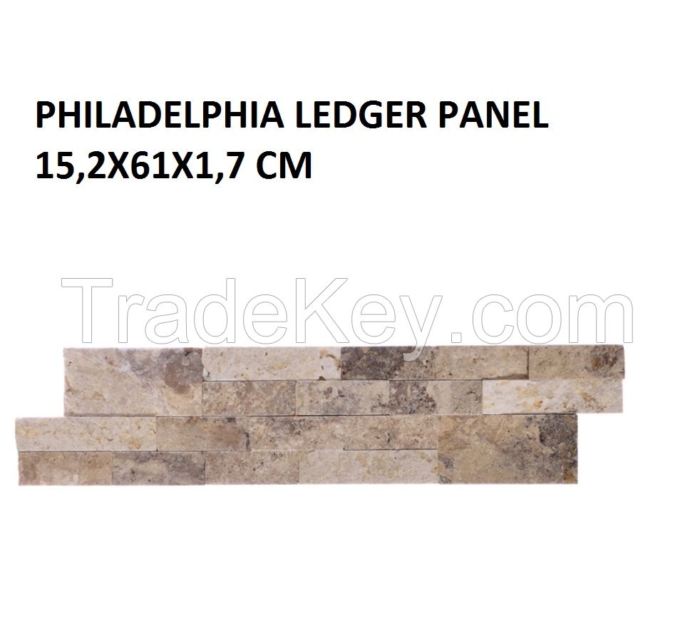 Philadelphia Ledger Panel